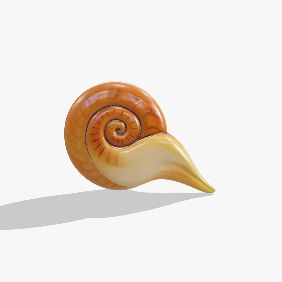 Glossy Spiral Shell model pack